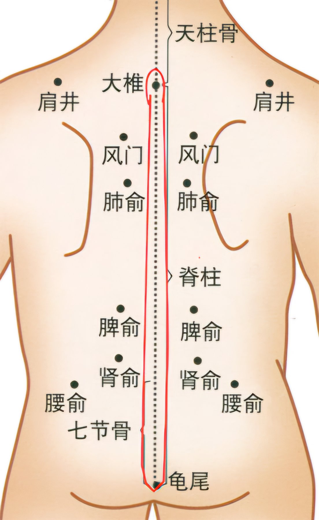 3e267d8b4917124a1cabdb69da77f10.jpg