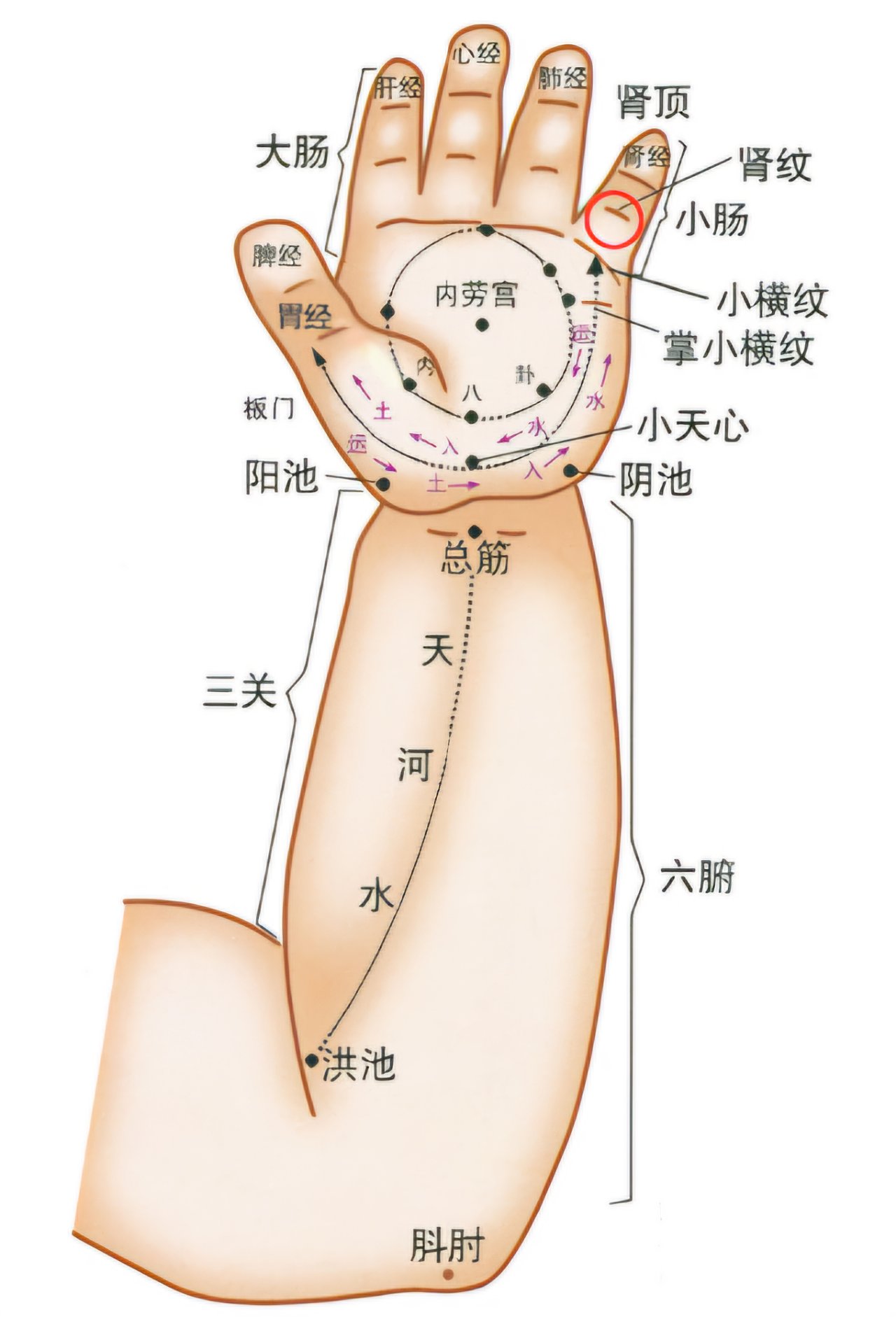1de1c8eb75b3723fce7182d6b1a82fe.jpg